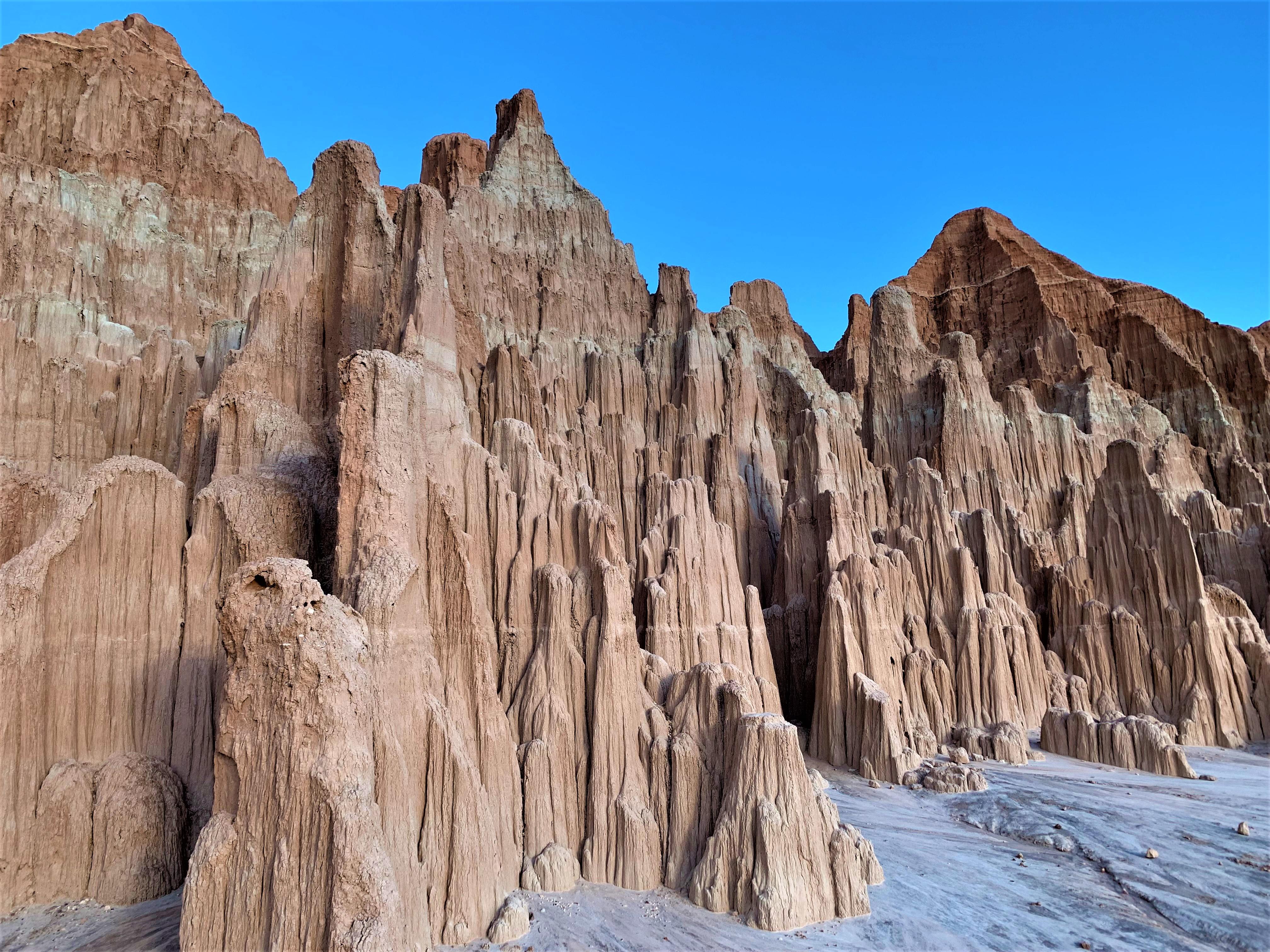 Nevada
